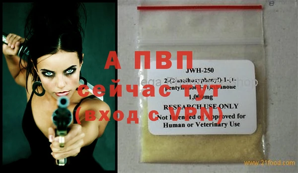амф Верея