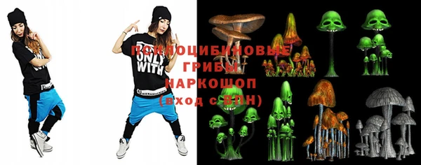амф Верея