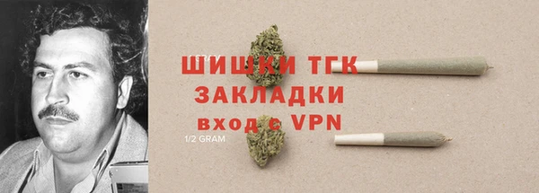 МДПВ Верхний Тагил
