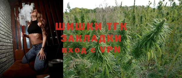 МДПВ Верхний Тагил