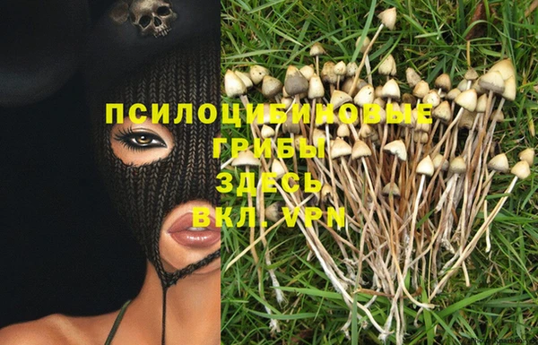 амф Верея