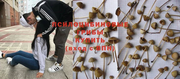 МДПВ Верхний Тагил