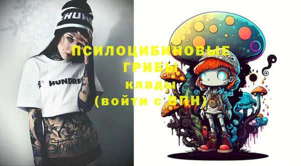 МДПВ Верхний Тагил
