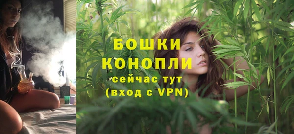 МДПВ Верхний Тагил