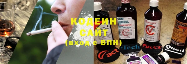 амф Верея
