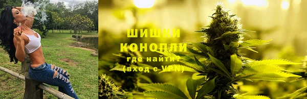 МДПВ Верхний Тагил
