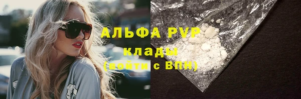 амф Верея
