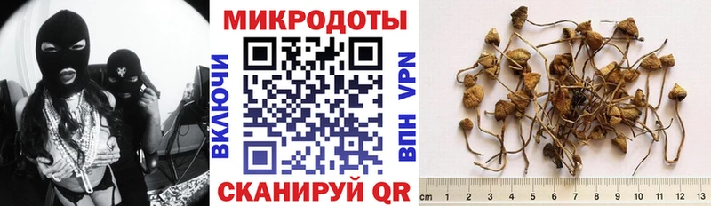 Галлюциногенные грибы ЛСД  Купить где  Валуйки 